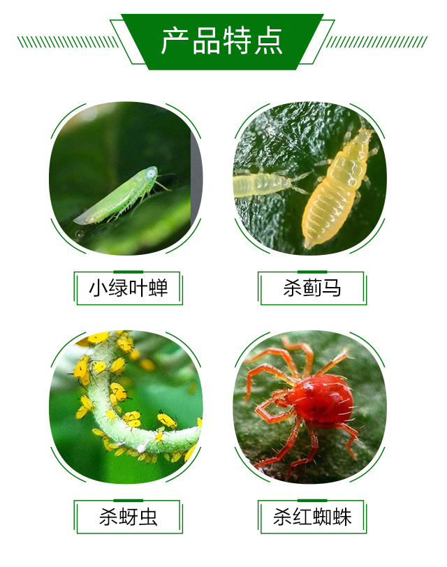 20%���x(ch��ng)�����ȷ����t��-�{(l��n)��_03