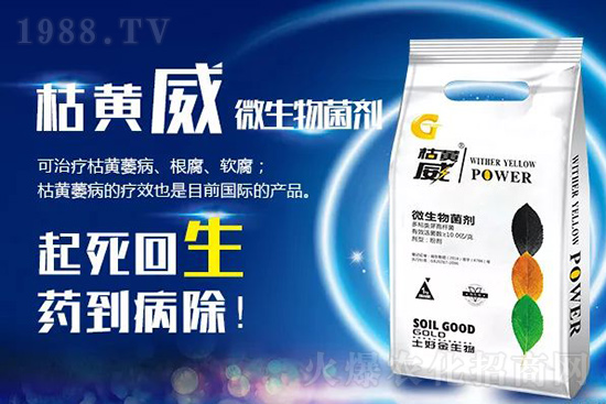 ���Sή�����ݵȲ������Ӝ皢�������͉�����