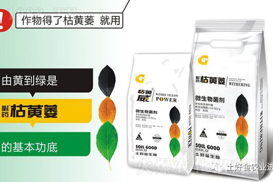 ���Sή�����ݵȲ������Ӝ皢�������͉�����