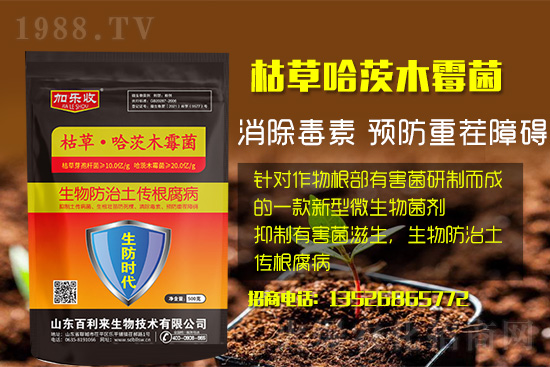 ���������l(f��)��ô��������������ʲôˎ�÷���Ч������