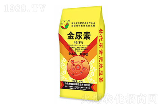 �������؃r��߀��������4��20�����؃r���������