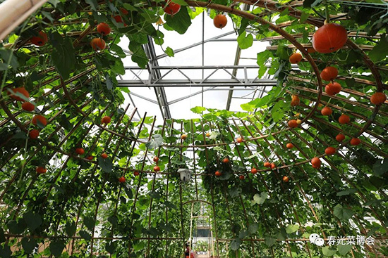 �ڶ�ʮ���É۹�˲���7