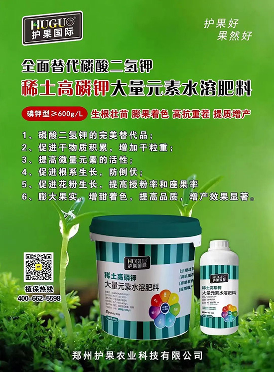 ⛷ʴ�q�r���@�N⛷���ݶ��������������������ռ���f�Ј�