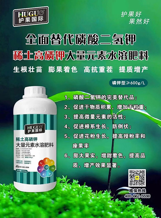 ⛷ʴ�q�r���@�N⛷���ݶ��������������������ռ���f�Ј�