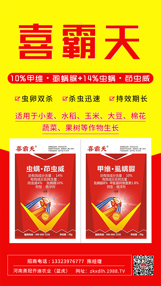 С�˶ꡢ�����xΣ����̫�y�����@����ˎ��һ��һ����(zh��n)!