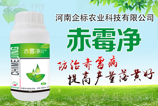 �o�����ѣ�δ��ʮ����С����ù�������P(gu��n)�I������(w��)��ץ����