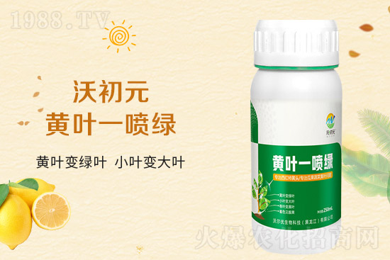 �����~Ƭ��ʲô�l(f��)�S��