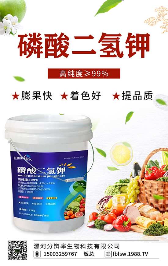 �~��ʵć�ʩ�`�^(q��)���@���c(di��n)�e������