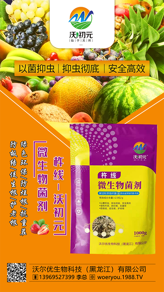 ����ĸ�ϵ���Q������Įa(ch��n)��