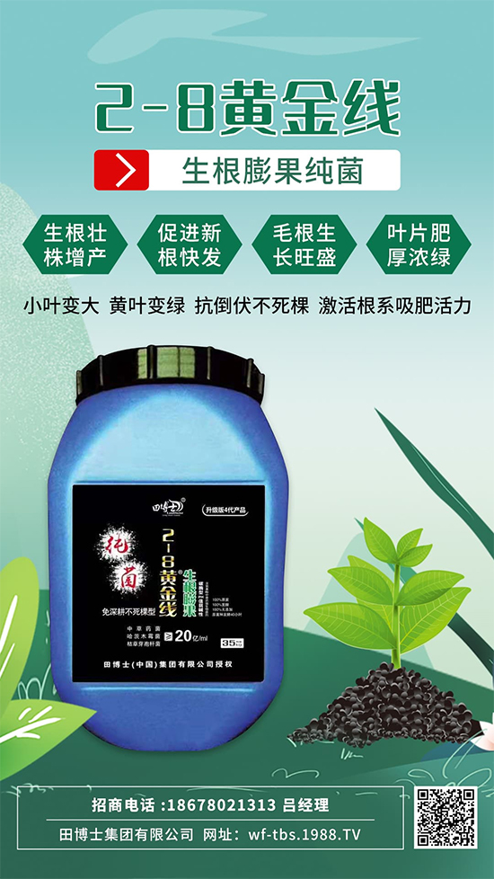 ���Ƿʵ������f�����L����ϵ�����ﱬ�l(f��)����ԇԇ�@һ��! 