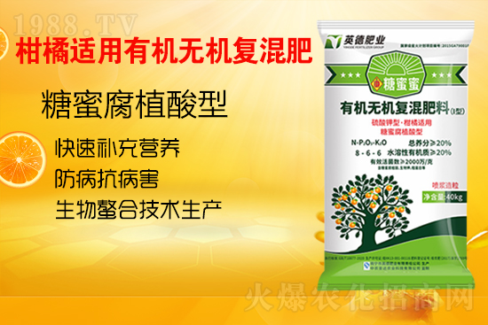 柑橘施肥常見的誤區(qū)有哪些?柑橘如何科學(xué)施肥呢?