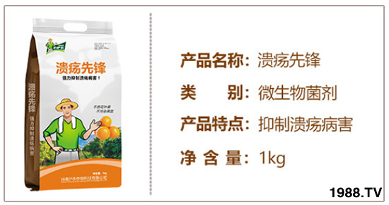 河南滬農(nóng)作物科技有限公司6