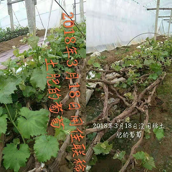 ��(li��n)ϡ���M