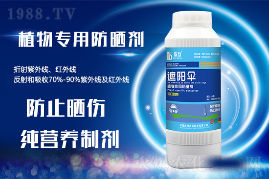 �ߜ������u������������E�[���쿴�������ˆ�? 