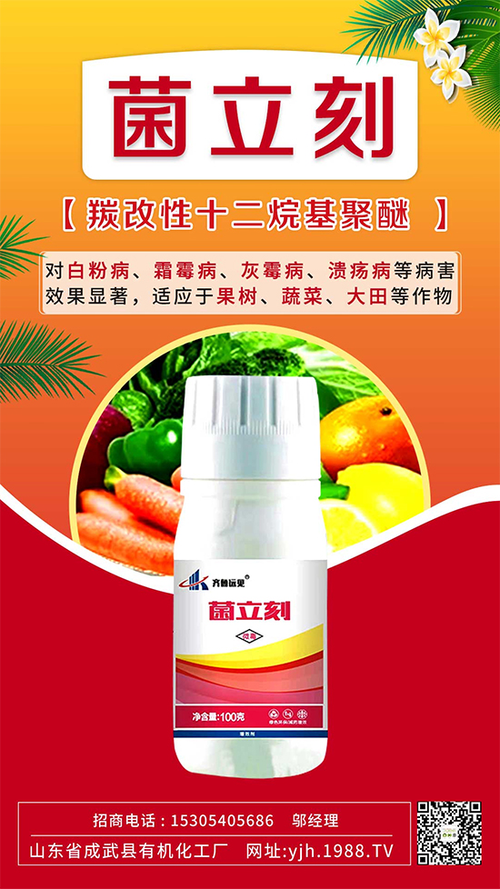 ����˪ù��߀�ǰ׷۲����e��ɵɵ�ֲ����ˣ���ηֱ漰������