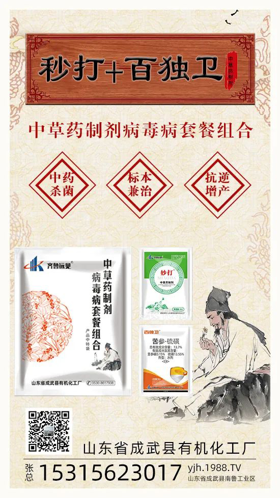 ��ֲ�ﰩ�Y-���������������������в�ˎ������������