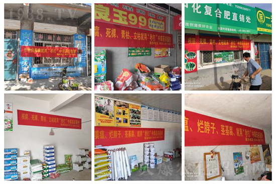 ��ֲ�ﰩ�Y-���������������������в�ˎ������������