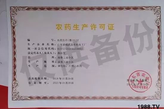 ��ֲ�ﰩ�Y-���������������������в�ˎ������������