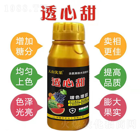 �������r�������޹�˾13