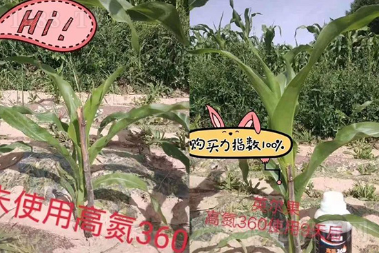 Һ�w��������Щ��(y��u)�c��Һ�w�������������׷�ʆ᣿