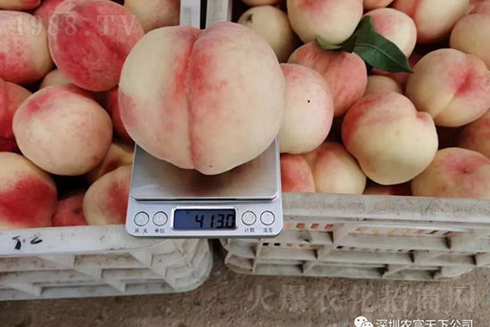 �Ҙ�(sh��)�����ô�k���Ҙ�(sh��)���ԭ���A(y��)������