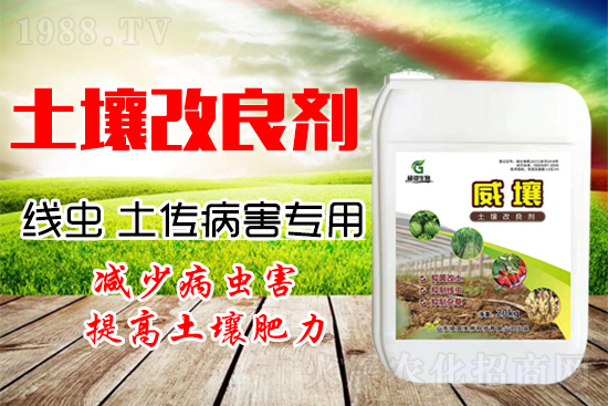 222������Y(ji��)���x������������(y��n)�أ�����һ�з�������