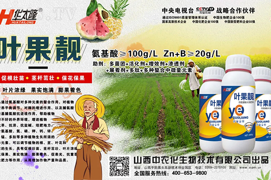     �O������С��ʲôԭ������Q��������Щ��