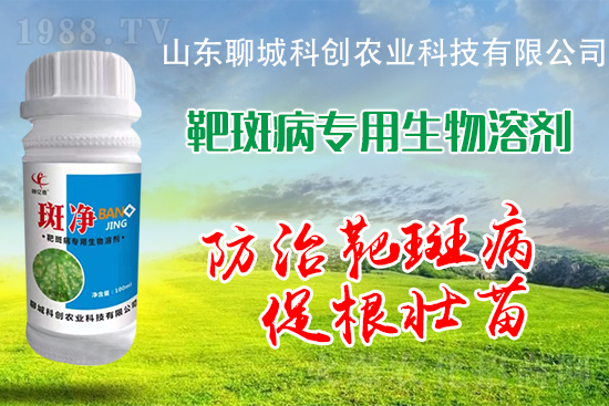 �S�ϰа߲�Σ��������������δ�ʩ����Щ��