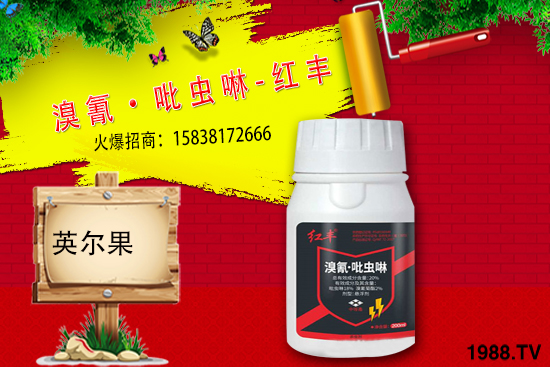 ���x(ch��ng)���r(ji��)��