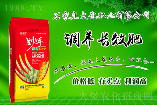 ��(zh��n)�Ժ���������(j��)��ʯ���f�󻯷ʘI(y��)�ٴκ��s1988.TV��