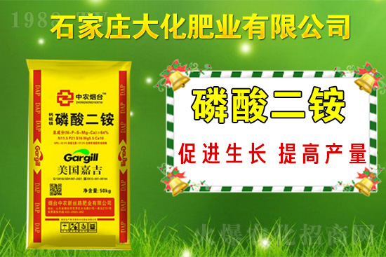 ��(zh��n)�Ժ���������(j��)��ʯ���f�󻯷ʘI(y��)�ٴκ��s1988.TV��