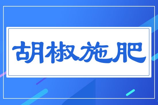 ����ʩ��