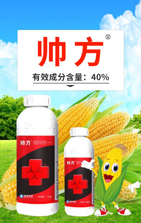 ����-��̖�r�I(y��)_01