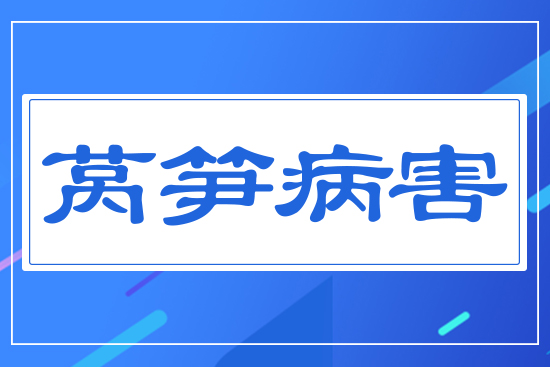 ？萵筍病害