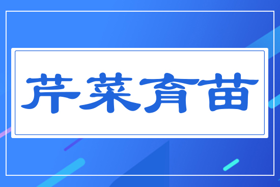 �۲�����