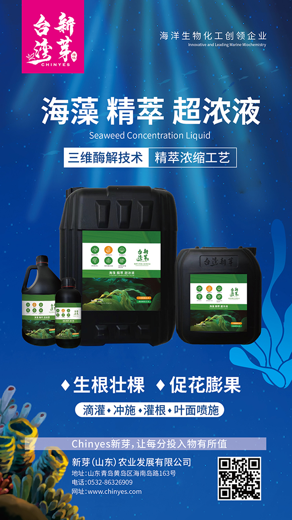 ���徫�ͳ���Һ-�_����ѿ4