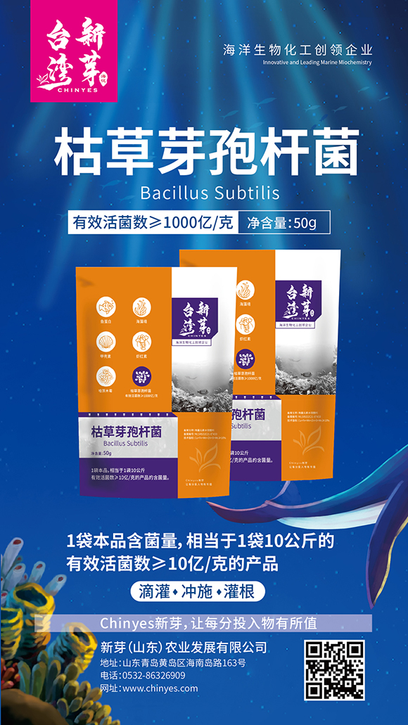 ǧ�|�ݲ�ѿ�ߗU��-�_(t��i)����ѿ3