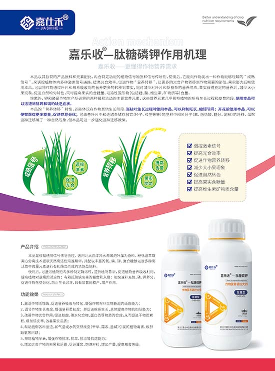 嘉仕禾單頁(肽糖磷鉀)-210x285mm-背面