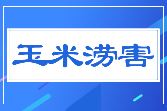 玉米澇害