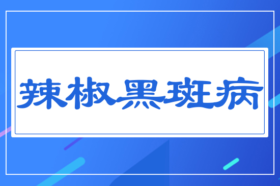 辣椒黑斑病