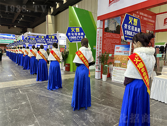 �𱬾W(w��ng)��Ů�Y�x�����(du��)����2024��ԭ�r(n��ng)�Y�p����(hu��)��