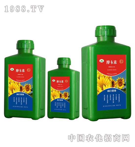 ���տ����ð���������Һ�ķ�-Ħ����-��(qi��ng)о���H