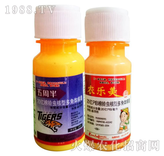 ����x(ch��ng)���Ͷ���w����-���ܰ�+�r(n��ng)��(l��)��-�P���