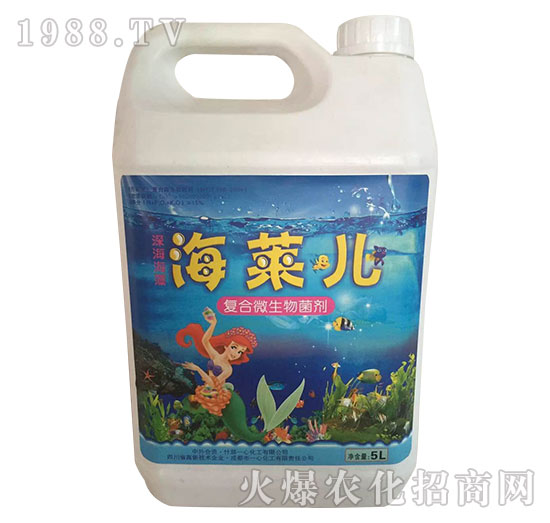 �ͺ�΢�������-���R��-һ�Ļ���