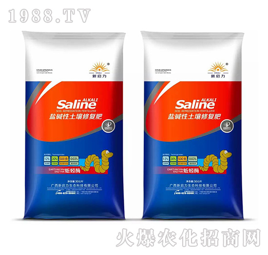 ���ø�}�A�������ޏͷ�-����