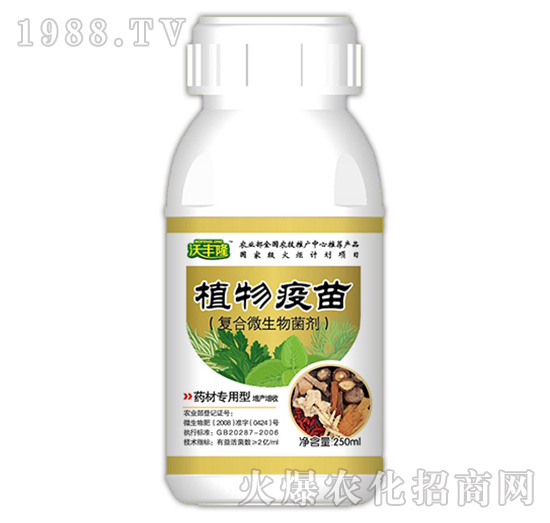 ֲ�����磨ˎ�Č����ͣ�-���S¡-��