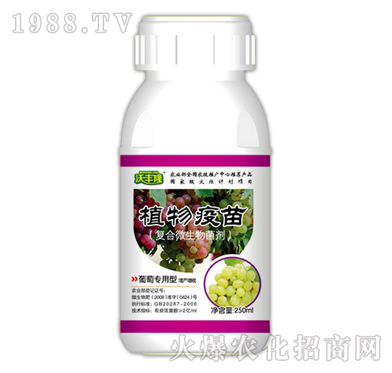 ֲ�����磨���ь�(zhu��n)���ͣ�-���S¡-��(qi��ng)