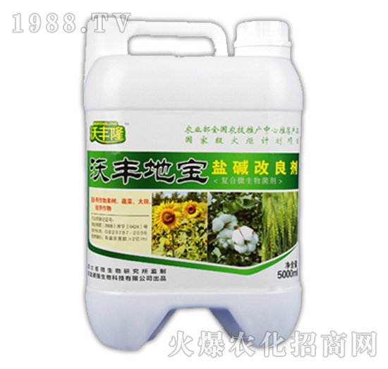 ���S�،����}�A��������-���S¡-��