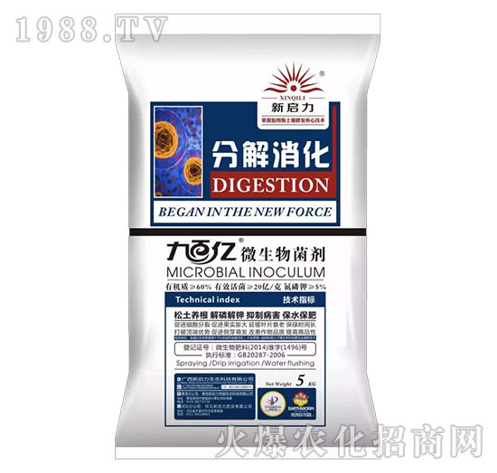 �ֽ�����-΢�������-����