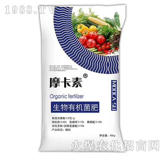 �����ЙC(j��)����-Ħ����-��(qi��ng)о���H